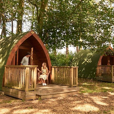 Pinewood - At Port Lympne Reserve Hythe  Eksteriør billede